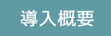導入概要