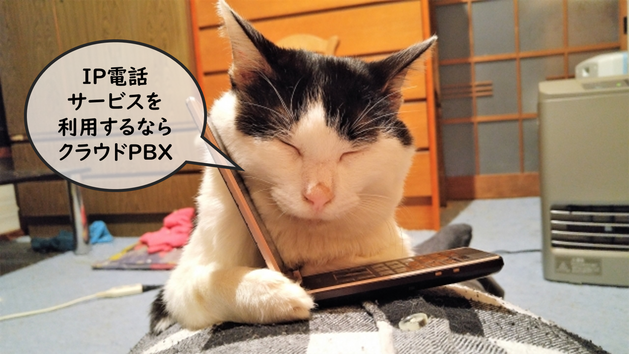 猫とクラウドPBX