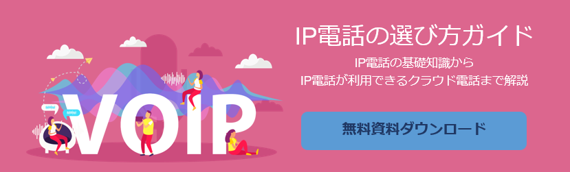 IP選び方ガイド